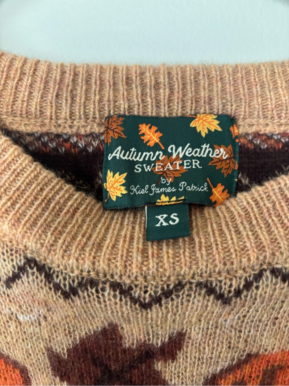 Kiel James Patrick Tan Sweater with Orange Pumpkin Motif - Picture 2 of 4